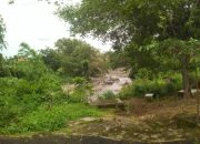 BIOREGION: Tiga (3) Indikator Perubahan Budaya Peradaban Gunung Arjuno