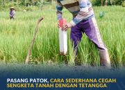 Pasang Patok, Cara Sederhana Cegah Sengketa Tanah dengan Tetangga