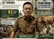 Pulung Kencana Jadi Salah Satu Tiyuh dengan Partisipasi Kurban Terbesar di Tubaba